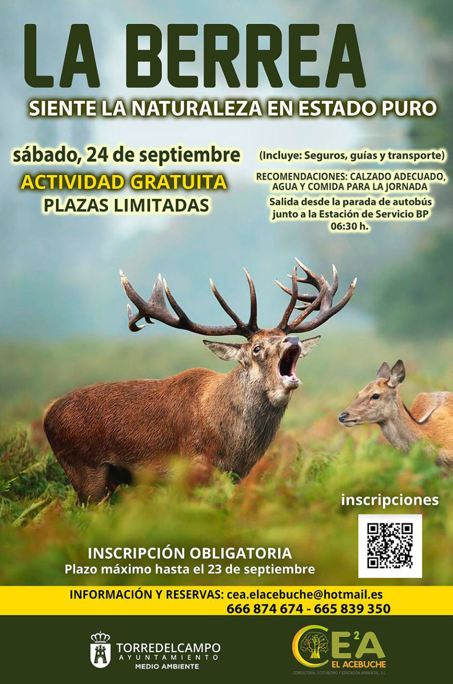 La Berrea