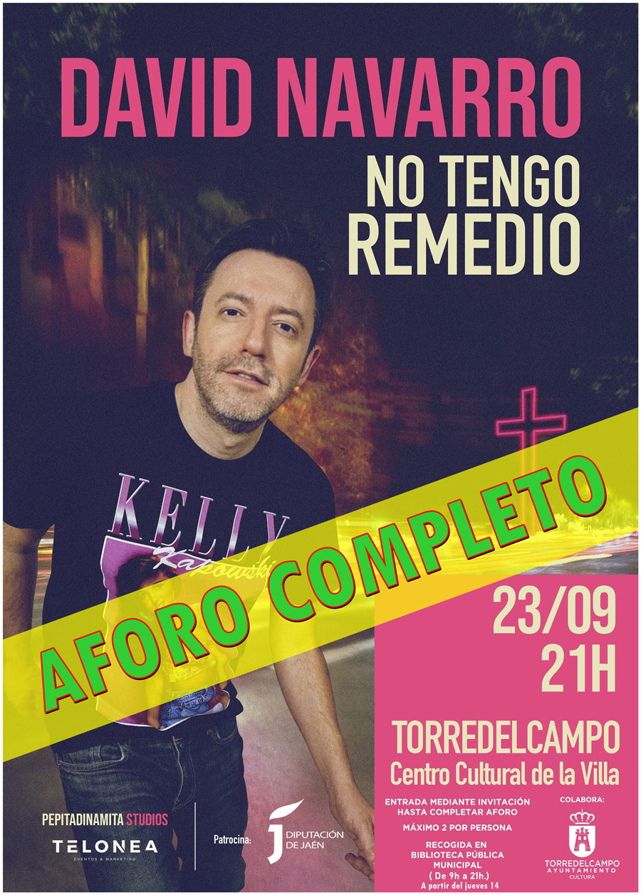 David Navarro - No tengo remedio