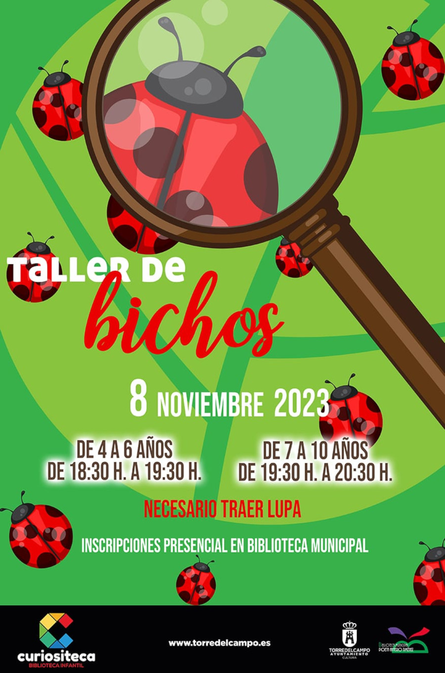 Taller de bichos