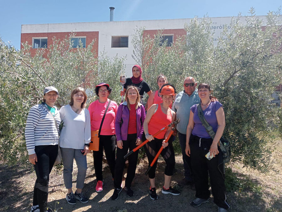 Clausura del curso en poda del olivar organizado por CMIM