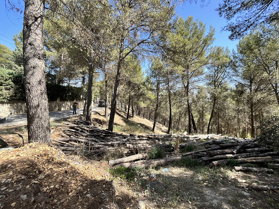 Se reitera a la Junta de Andalucía la solicitud de retirada de los restos de madera del barranco de Megatín